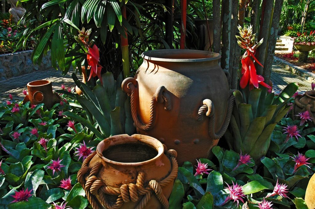 Clay pots among tropical plants with pink flowers in a lush garden setting.